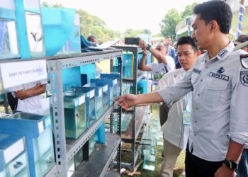 Lomba Ikan Cupang Dan Papuyu, Bupati Kabupaten Banjar: Perlu Dilestarikan
