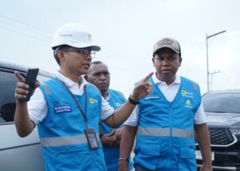 Dukung Penuh Program Lumbung Pangan Nasional, PLN Siapkan Infrastruktur Kelistrikan di Desa Bentuk Jaya, Dadahup