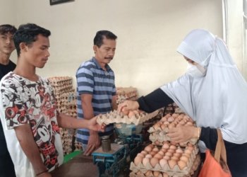 Jelang Nataru, Harga Telur Ayam Ras Naik