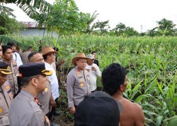 Dukung Asta Cita RI, Kapolda Kalsel Tinjau Lokasi Program Ketahanan Pangan