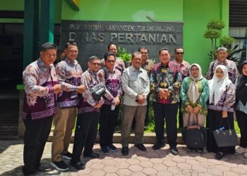 Dinas Pertanian Kabupaten Banjar Ke Tulungagung