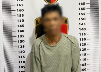 Lakukan Hal Tak Senonoh Kepada Anak di Bawah Umur, Seorang Pria Asal Kusan Hilir Diamankan Polisi
