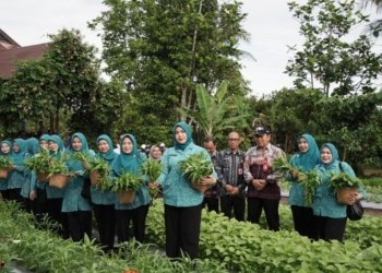 Dinas Pertanian Dan PKK Kabupaten Banjar Panen Sayur