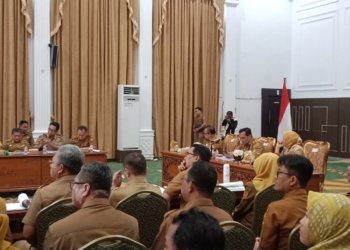 Master Plan!, Tiga Ekspos Pembangunan Akan Segera Dibangun