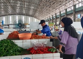 Sepekan Harga Cabai di Banjarbaru Turun, Rp55 Ribu Per Kilogramnya