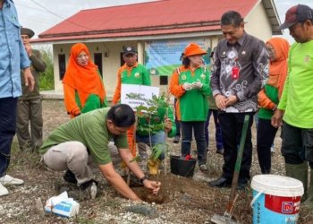 Program Penghijauan, Pemko & Masyarakat Tanam Pohon Buah