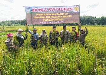 Petani Desa Sungai Raya Rayakan Syukuran Panen Padi IP 200 Pasca Banjir, Distan Banjar Apresiasi Ketahanan Mereka