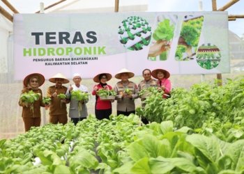 Polda Kalsel Launching Empat Green House Hingga Panen Tanaman Sayur Holtikultura