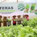 Polda Kalsel Launching Empat Green House Hingga Panen Tanaman Sayur Holtikultura