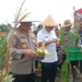 Jaga Stabilitas Harga, Polda Kalsel Panen Raya 10 Ton Jagung di Banjarbaru