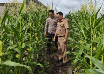 Dukung Ketahanan Pangan, Bhayangkari Launching Program Pekarangan Pangan Lestari