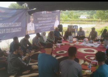 Petani Ikan Papuyu di Banjar Panen Lebih Cepat dari Dugaan, Bukti Suksesnya Program Gerbang Kakapayu