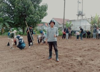Dorong Produksi Pangan, BPP Karang Intan Tanam Padi Gogo dan Refugia di Lahan Milik Sendiri