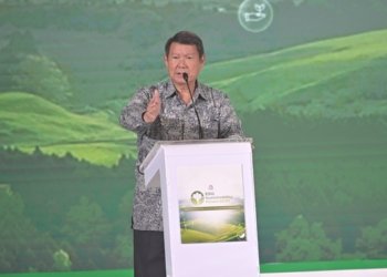 Di Forum ESG, Hashim Apresiasi Peran Aktif Perdagangan Karbon Indonesia, Terbesar dari PLN