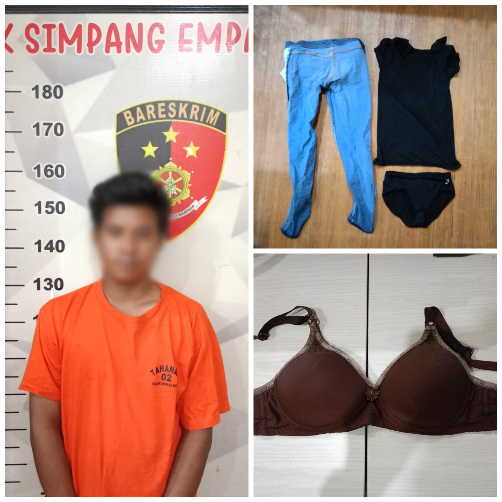 Gagahi Anak Dibawah umur, Pria Ini di Ringkus Polisi