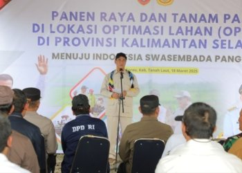 Panen Raya di Tanah Laut: Langkah Besar Menuju Swasembada Pangan Nasional