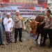 Kapolda Kalsel Serahkan Bantuan Sapi untuk Haul ke-219 Datu Kelampaian