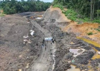 Tambang Ilegal Ancam Hutan Pendidikan Unmul, BEM KM Desak Penegakan Hukum