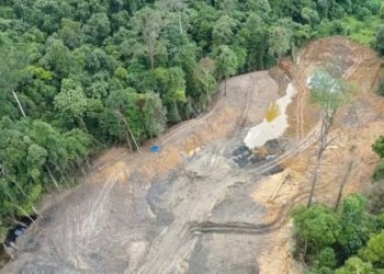 Tambang Ilegal Serobot Kawasan Pendidikan, KHDTK Unmul Terancam Rusak