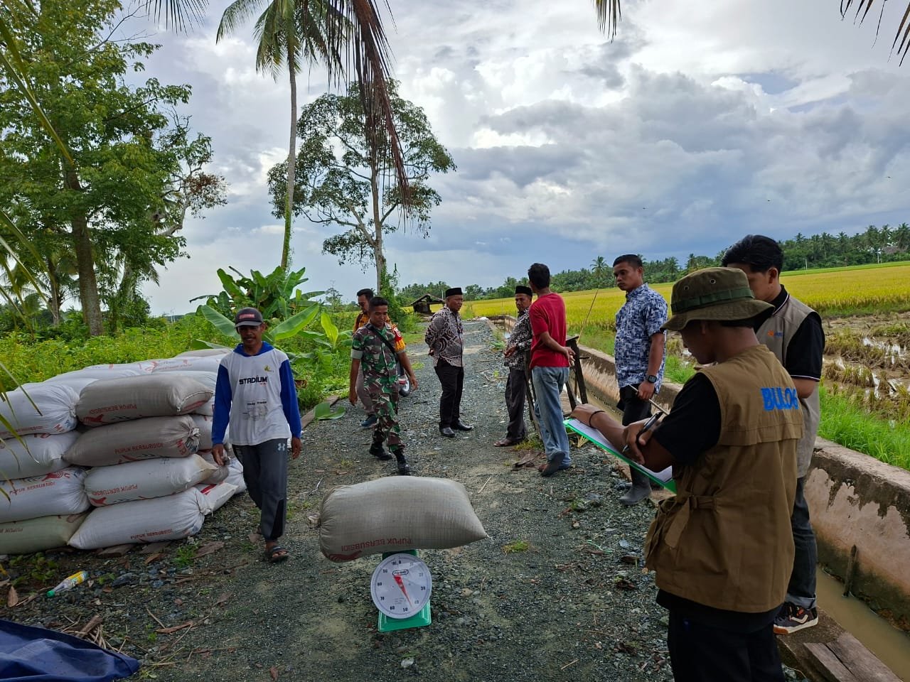 Babinsa Dampingi Penyerapan Gabah 8 Ton di Kusan Hilir, Petani Sumringah Harga Sesuai HPP