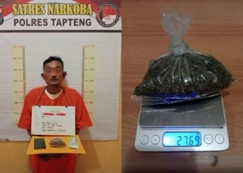 Miliki 27,69 Gram Ganja, Pria Asal Tukka Diciduk Polisi Saat Asyik Bertransaksi