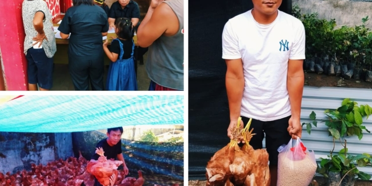 Desa Werot Salurkan Bibit Rambutan dan Ayam Petelur, Wujud Nyata Ketahanan Pangan Berbasis Desa