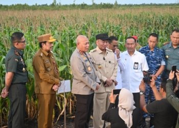 Polda Kalsel Bersama Forkopimda Tinjau Progres Ketahanan Pangan di Kabupaten Banjar