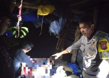 Tragis! Petani Ditemukan Tak Bernyawa di Gubuk Perkebunan Koha Selatan