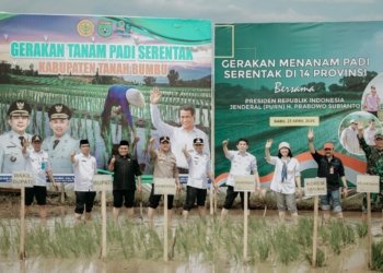 Tanam Padi Serentak Bersama Presiden, Kegiatan di Kalsel Dipusatkan di Tanbu dan Dipimpin Bupati Andi Rudi Latif