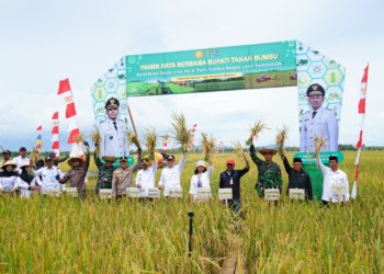 Kodim 1022/Tanbu Hadiri Panen Raya Serentak Virtual Bersama Presiden, Perkuat Komitmen Dukung Ketahanan Pangan