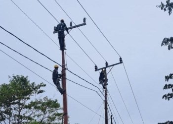 Listrik PLN Hadir, Warga 9 Desa di Kaltimra Rayakan Idulftiri 1446 H Penuh Sukacita