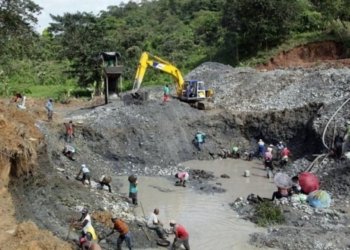 DPRD Kaltim Kecam Aktivitas Tambang Ilegal di Kebun Raya Unmul Samarinda