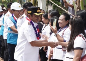 Tingkatkan Aktivitas dan Ekonomi Masyarakat Desa, PLN Resmikan Listrik untuk 12 Desa di Barito Selatan