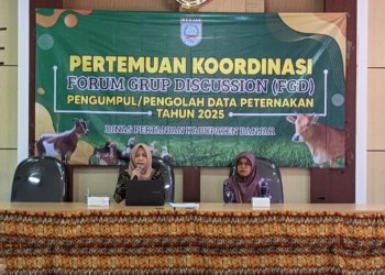 Perkuat Fondasi Peternakan 2025, Distan Banjar Gelar FGD Penguatan Data: Menuju Kebijakan Berbasis Fakta dan Lapangan