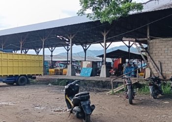 Bongkar Praktik Ilegal di Tangkahan Visi: Kapal Bom Ikan dan Solar Subsidi Marak, Warga Desak Aparat Bertindak