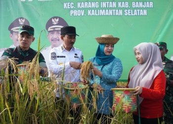 Panen Raya di Awang Bangkal Barat, Bupati Banjar: Ini Simbol Keberhasilan Bersama