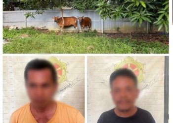 Polsek Angsana Amankan Dua Terduga Pelaku Pencurian Ternak dan Seorang Penadah