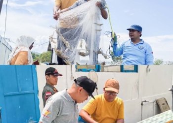 Bangun Ketahanan Pangan dari Laut, Bupati Kotabaru Pacu Produksi Udang Unggulan Lokal