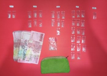 Miliki 34 Paket Sabu Siap Edar, Pria di Desa Lupak Ditangkap Polisi