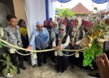 Revitalisasi Posyandu Era Baru: Hj. Fathul Jannah Muhidin Dorong Penguatan 6 Layanan Dasar di Desa