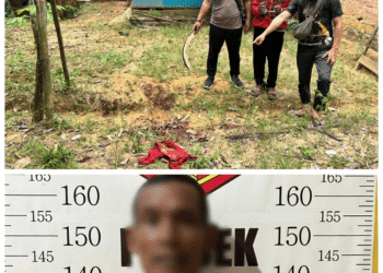 Warga Satui Tewas Karena Menuduh Curi Kelapa, Polisi Amankan Tersangka Beserta Barang Bukti