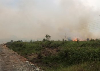 BPBD Banjarbaru Tetapkan Siaga Darurat Bencana Karhutla