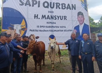NasDem Kalsel Serahkan Ratusan Hewan Kurban dan Resmikan Pembangunan Kantor Baru: Manifestasi Keikhlasan dan Solidaritas Politik