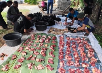 PSHT Cabang Banjarbaru Berkurban, Ratusan Kilogram Daging Dibagikan