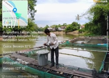 Ancaman Kematian Ikan Massal, Dinas Ketahanan Pangan dan Perikanan Banjar Keluarkan Himbauan untuk Pembudidaya