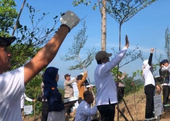 Penanaman 2.200 Pohon Program PT PLN, Gubernur: Kerusakan Hutan dan Lahan Masih Cukup Luas