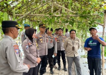 Warga Desa Bincau Semarakkan Lomba Pekarangan Pangan Bergizi: Wujudkan Ketahanan Pangan dari Halaman Sendiri