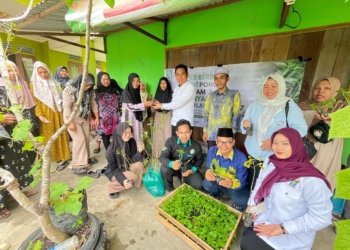DPC PKB Kabupaten Banjar Bagikan ribuan Bibit Pohon dan Sayur di Martapura Barat, Simbol Komitmen Hijau Sambut Harlah ke-27