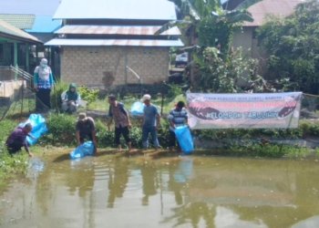 3.000 Ikan Haruan Ditebar Kelompok Pembudidaya Ikan Tabulihin di Desa Karang Intan