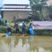 3.000 Ikan Haruan Ditebar Kelompok Pembudidaya Ikan Tabulihin di Desa Karang Intan